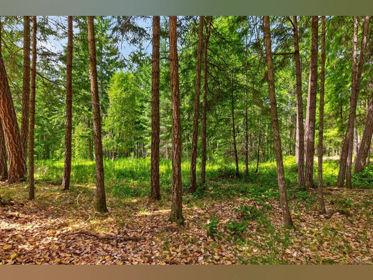 Lot B-6755 Stoney Hill Road, Duncan, BC, V9L 6Y6 - 9