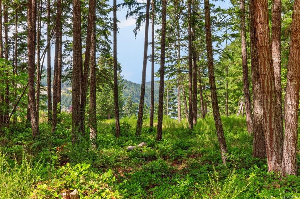 Lot D-6755 Stoney Hill Road, Duncan, BC, V9L 6Y6 - 13