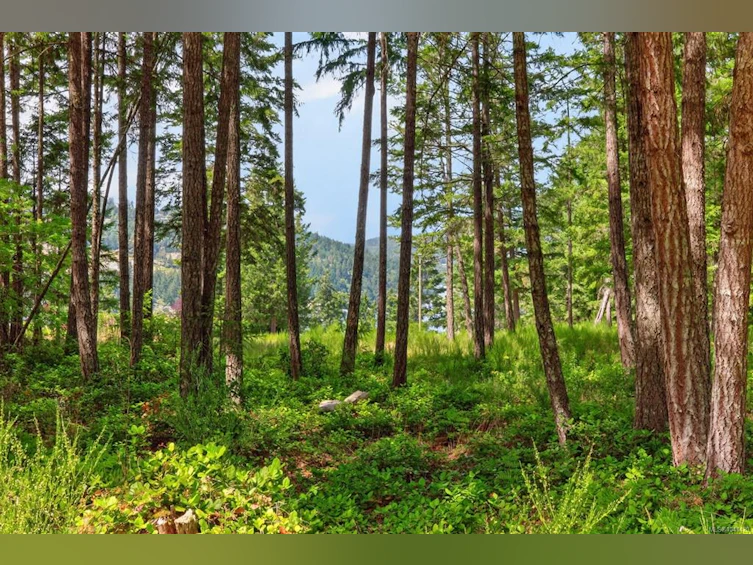 Lot D-6755 Stoney Hill Road, Duncan, BC, V9L 6Y6 - 13