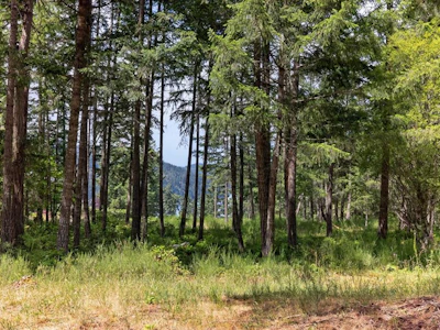 Lot D-6755 Stoney Hill Road - 3
