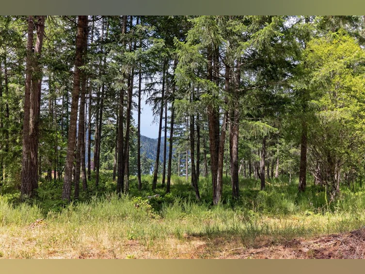 Lot D-6755 Stoney Hill Road, Duncan, BC, V9L 6Y6 - 3