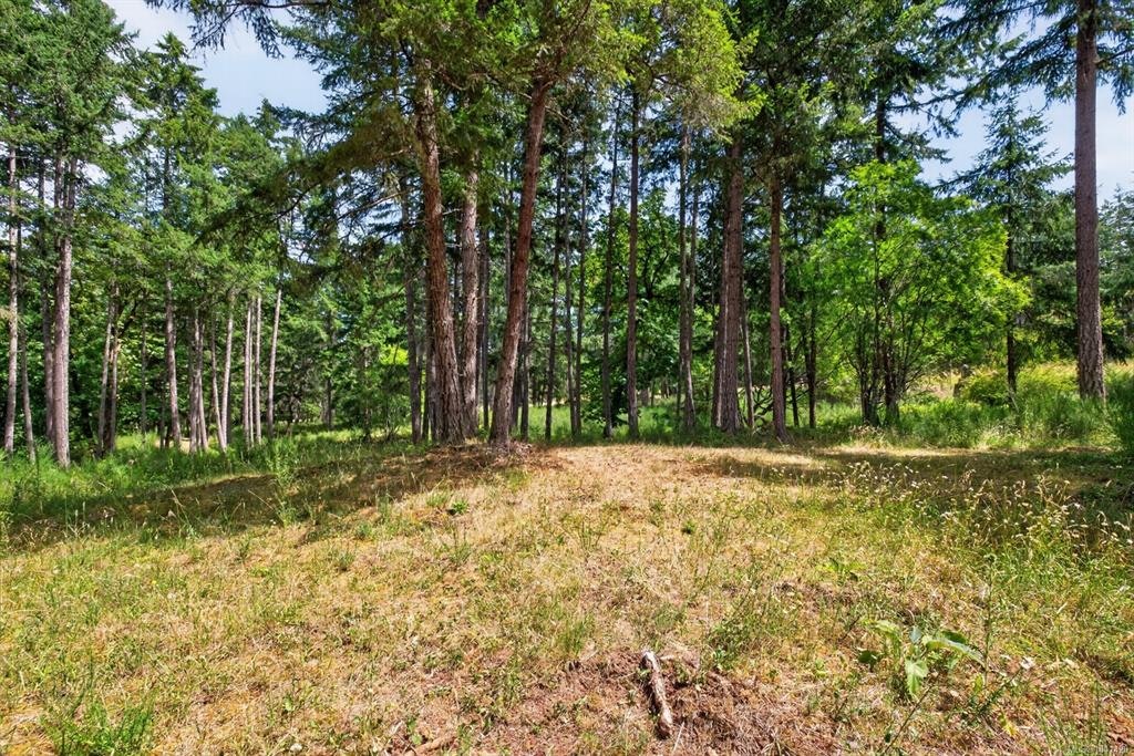 Lot D-6755 Stoney Hill Road, Duncan, BC, V9L 6Y6 - 15