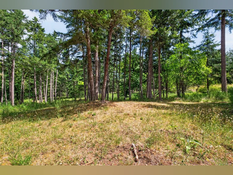 Lot D-6755 Stoney Hill Road, Duncan, BC, V9L 6Y6 - 15