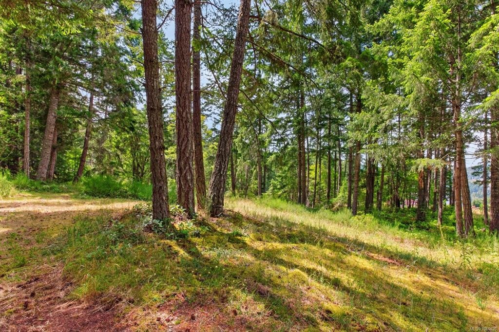 Lot D-6755 Stoney Hill Road, Duncan, BC, V9L 6Y6 - 11