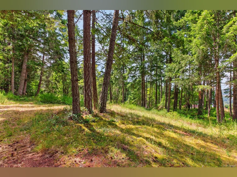 Lot D-6755 Stoney Hill Road, Duncan, BC, V9L 6Y6 - 11