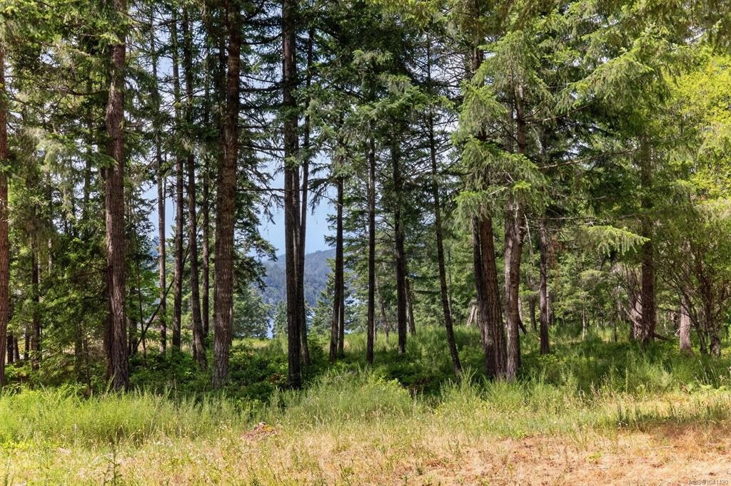 Lot D-6755 Stoney Hill Road, Duncan, BC, V9L 6Y6 - 8