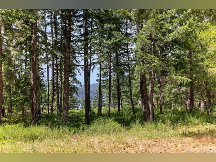 Lot D-6755 Stoney Hill Road, Duncan, BC, V9L 6Y6 - 8