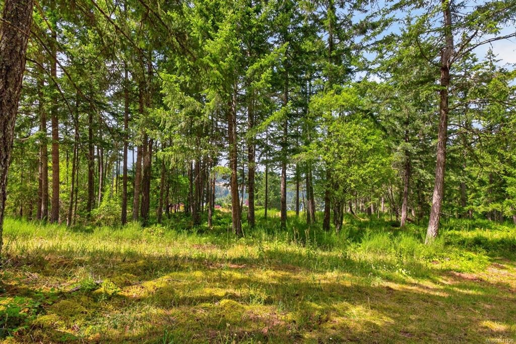 Lot D-6755 Stoney Hill Road, Duncan, BC, V9L 6Y6 - 7