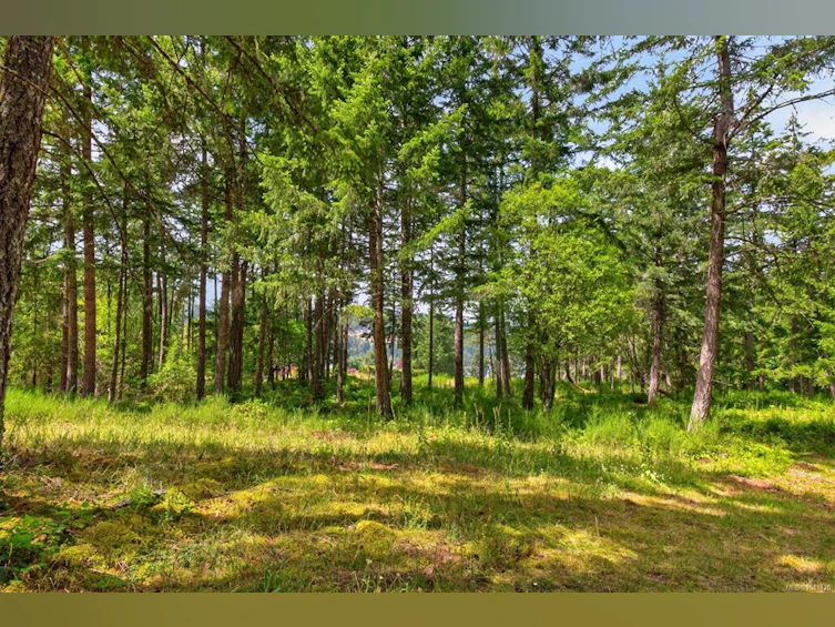 Lot D-6755 Stoney Hill Road, Duncan, BC, V9L 6Y6 - 7
