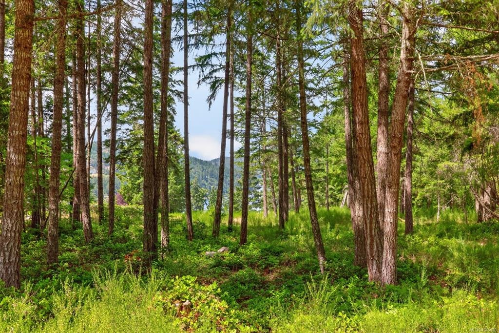 Lot D-6755 Stoney Hill Road, Duncan, BC, V9L 6Y6 - 12