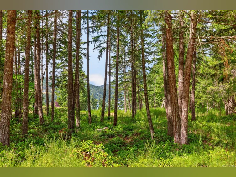 Lot D-6755 Stoney Hill Road, Duncan, BC, V9L 6Y6 - 12