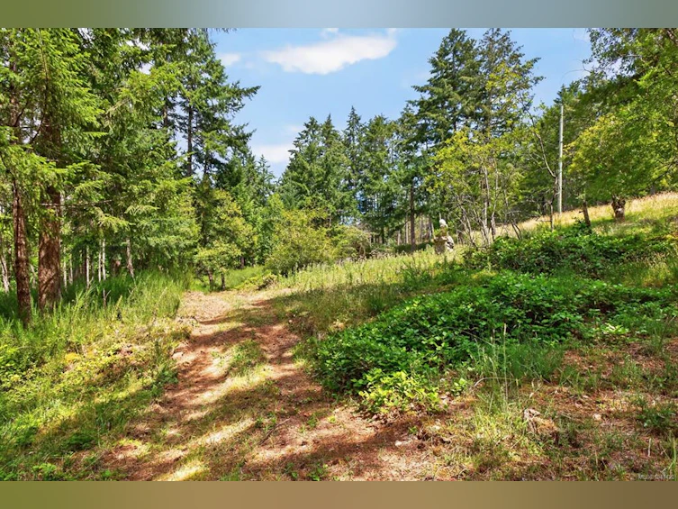 Lot D-6755 Stoney Hill Road, Duncan, BC, V9L 6Y6 - 16