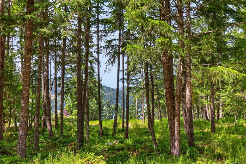 Lot D-6755 Stoney Hill Road, Duncan, BC, V9L 6Y6 - 9