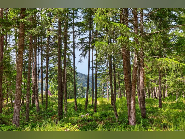 Lot D-6755 Stoney Hill Road, Duncan, BC, V9L 6Y6 - 9