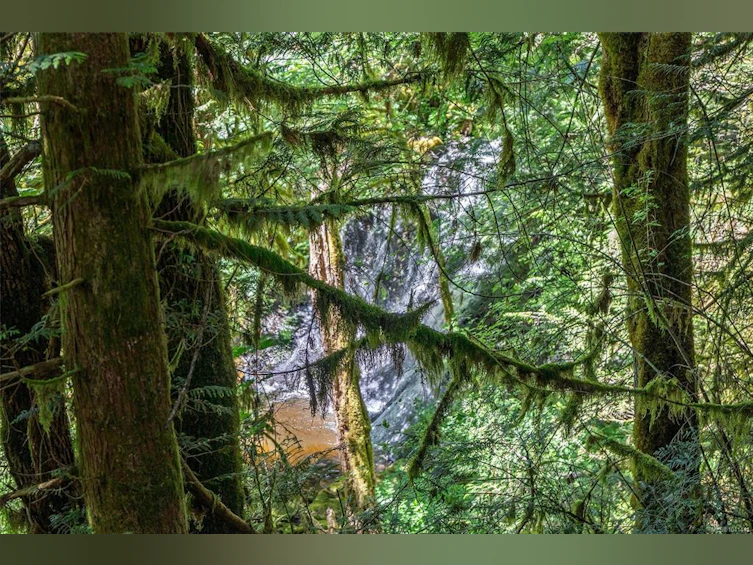 4370 Moss Road, Duncan, BC, V9L 6M4 - 59