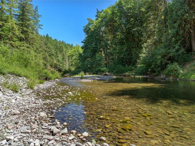 4370 Moss Road - 5