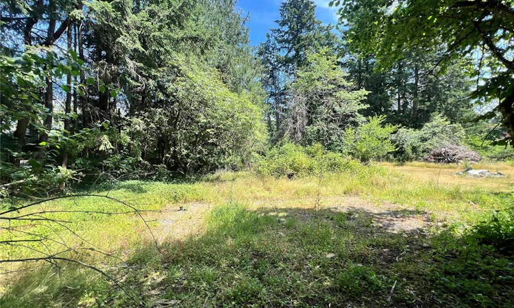 Lot B Chemainus Road
