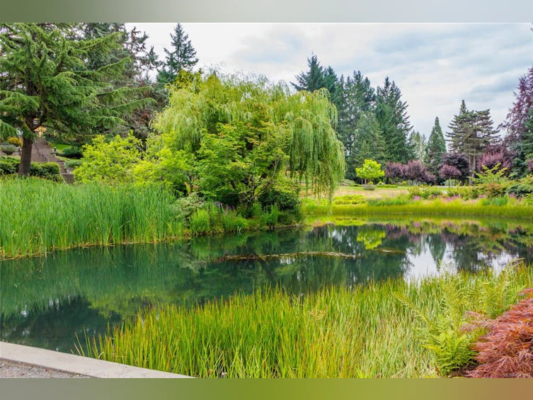 2299 Macfarlane Crescent, Shawnigan Lake, BC, V0R 2W0 - 42