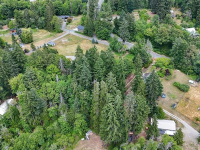 5608 Kitsuksis Road - 3