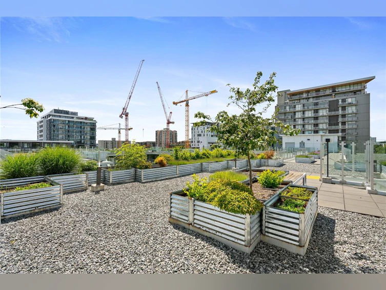 S310-1411 Cook Street, Victoria, BC, V8V 0E8 - 43