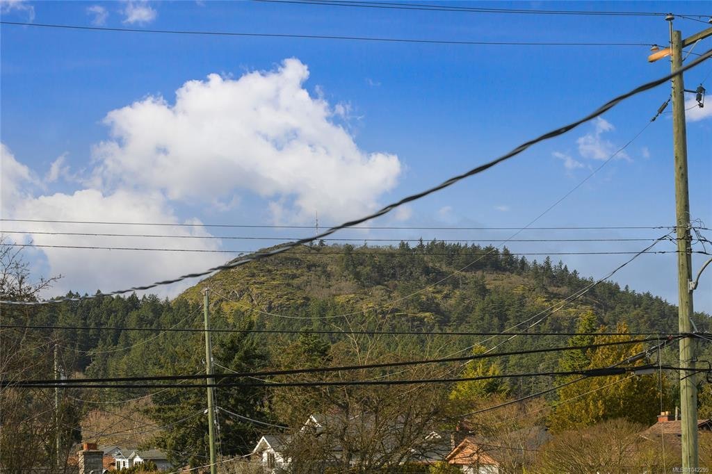 4317 Majestic Drive, Saanich, BC, V8N 3H1 - 52