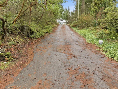 2511 Florence Lake Road - 5