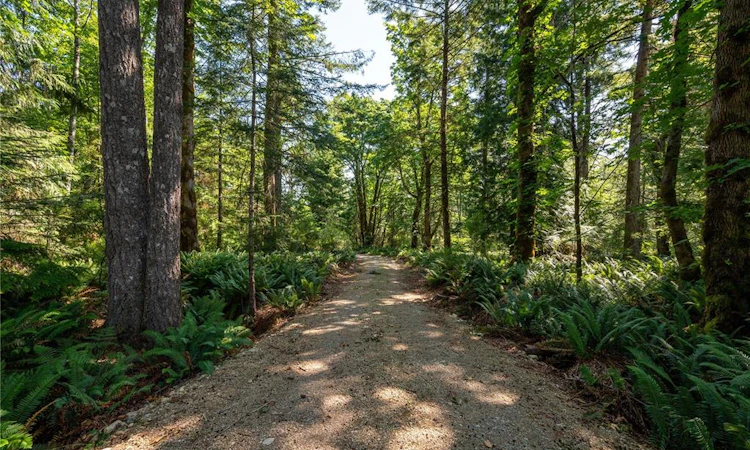 926 Fern Hill Lane