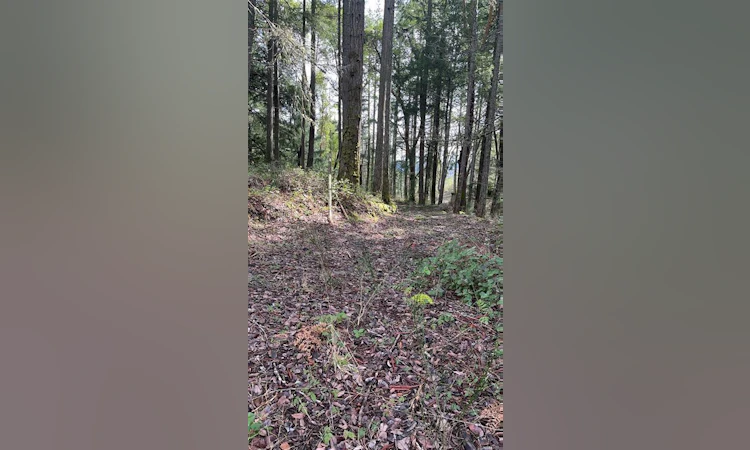 Lot A Ebadora Lane