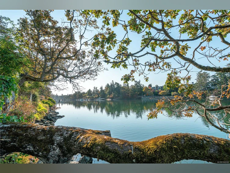 101-69 W Gorge Road, Saanich, BC, V9A 1L9