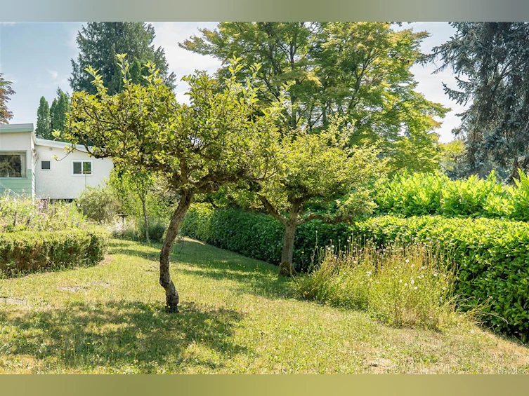 950 Dunn Avenue, Saanich, BC, V8X 2Z4 - 35