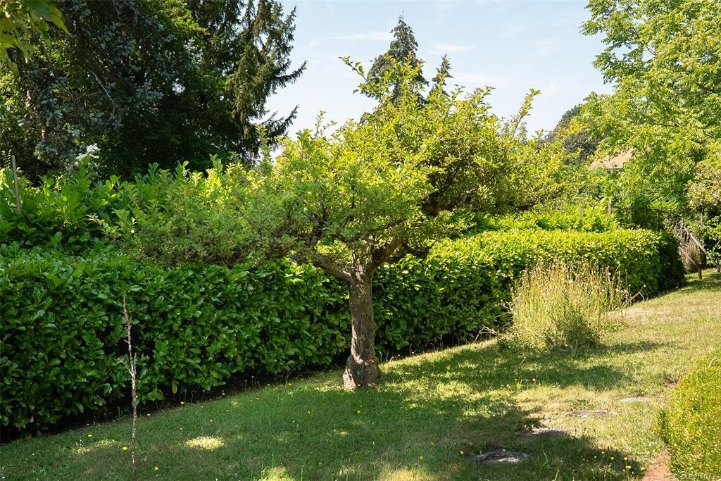950 Dunn Avenue, Saanich, BC, V8X 2Z4 - 34