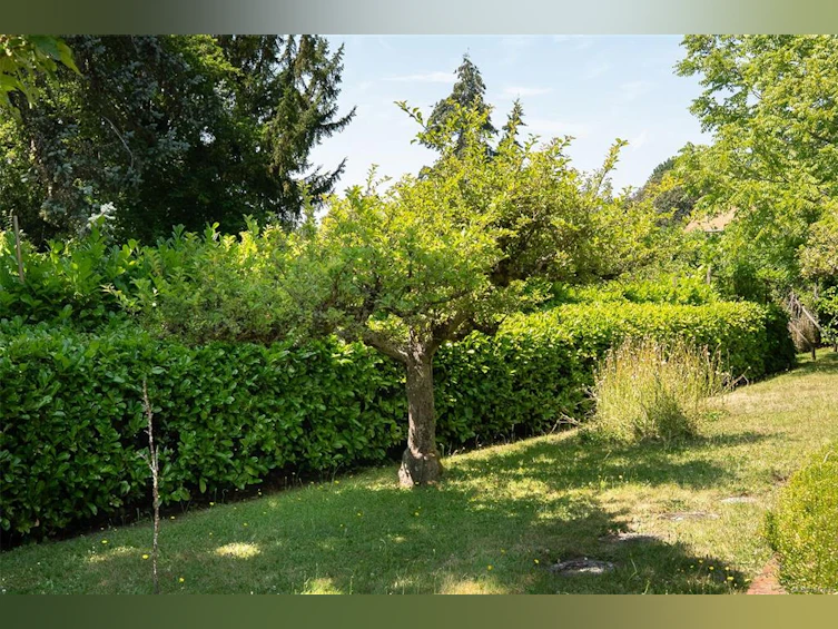950 Dunn Avenue, Saanich, BC, V8X 2Z4 - 34