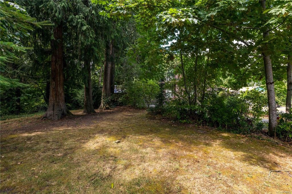 260 Dogwood Avenue, Duncan, BC, V9L 1H4 - 34