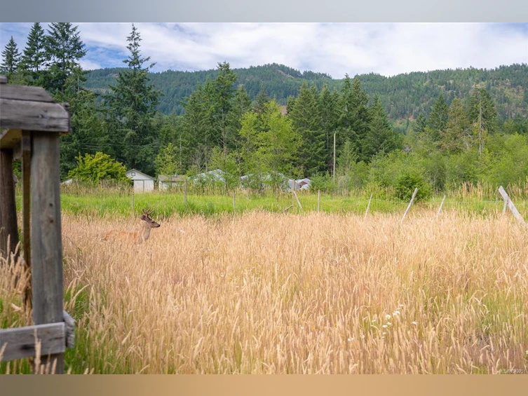 6767 Cypress Boulevard, Port Alberni, BC, V9Y 8T7 - 31