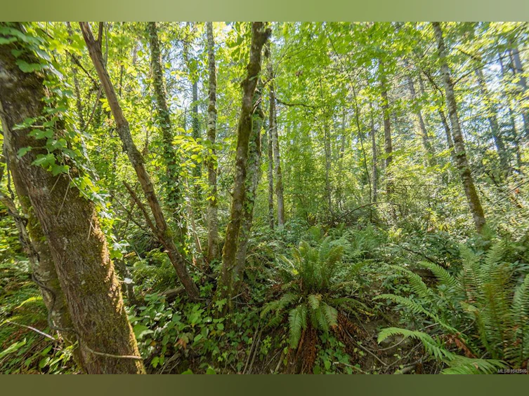 5280 Koksilah Road, Duncan, BC, V9L 6V3 - 24