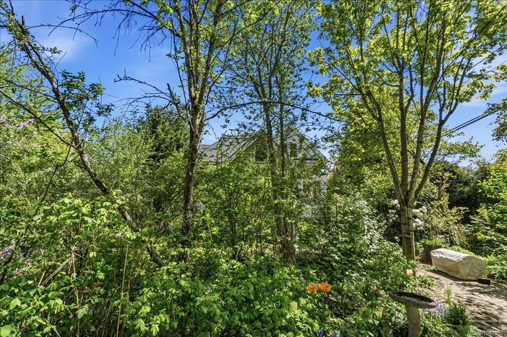 133 Milton Street, Nanaimo, BC, V9R 2K4 - 49