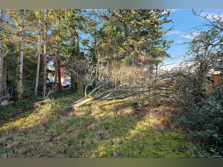 10211 Resthaven Drive, Sidney, BC, V8L 3H2 - 11
