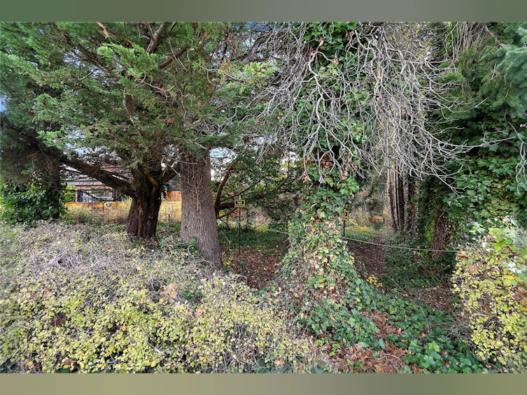 10211 Resthaven Drive, Sidney, BC, V8L 3H2 - 3