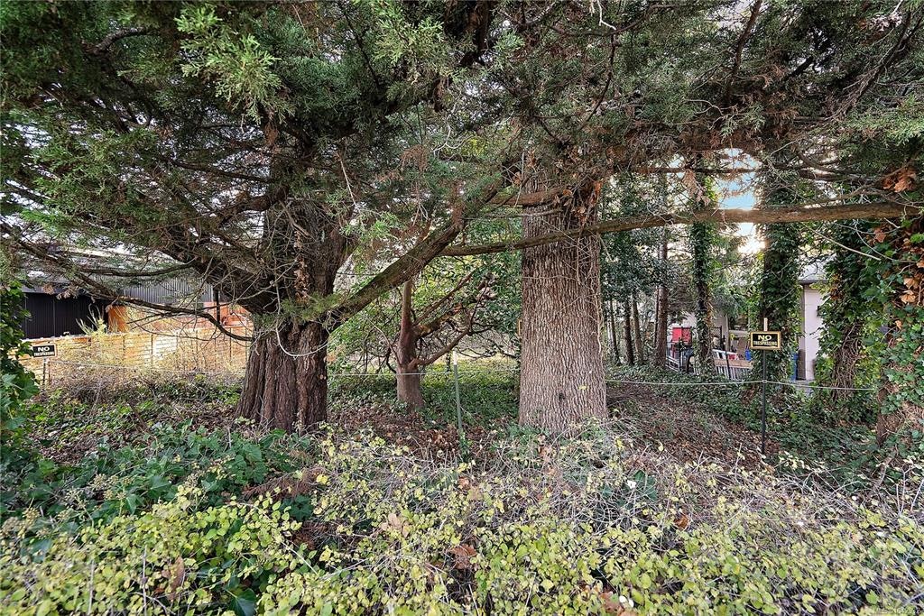 10211 Resthaven Drive, Sidney, BC, V8L 3H2 - 19