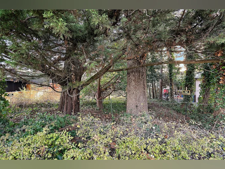 10211 Resthaven Drive, Sidney, BC, V8L 3H2 - 19
