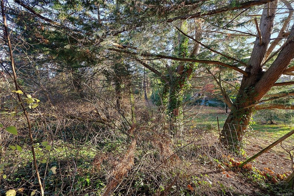 10211 Resthaven Drive, Sidney, BC, V8L 3H2 - 13