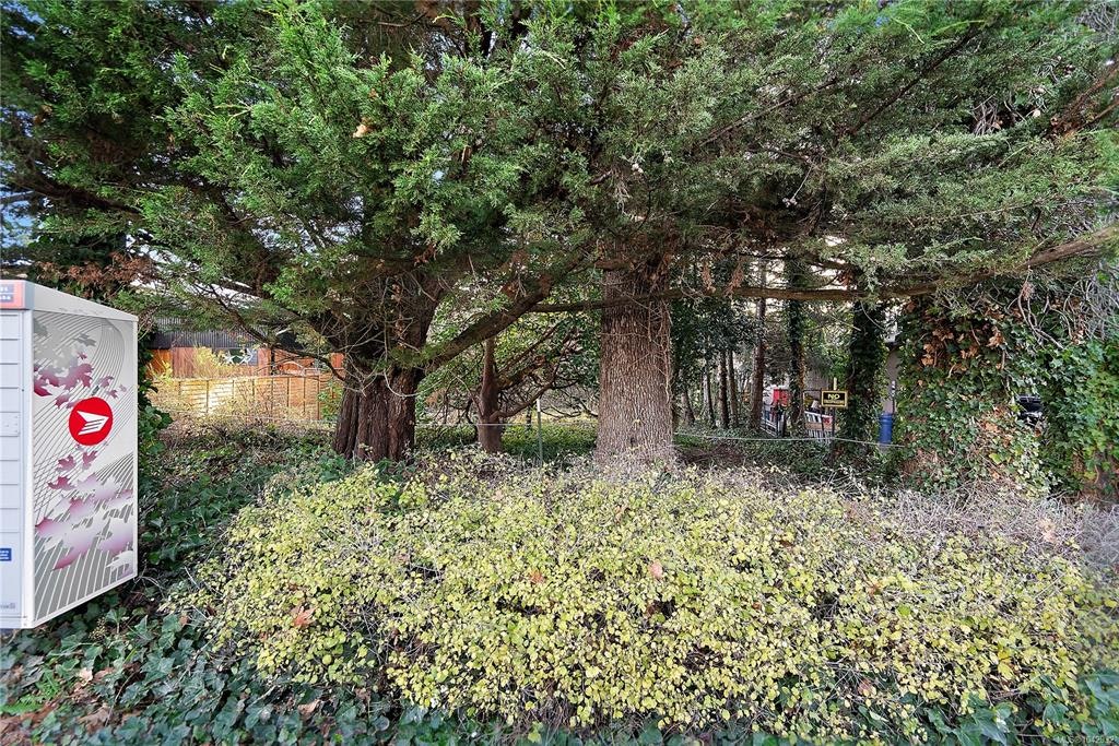 10211 Resthaven Drive, Sidney, BC, V8L 3H2 - 16