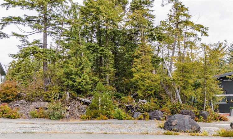 Lot 50 Cedar Grove