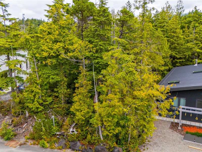 Lot 50 Cedar Grove - 2