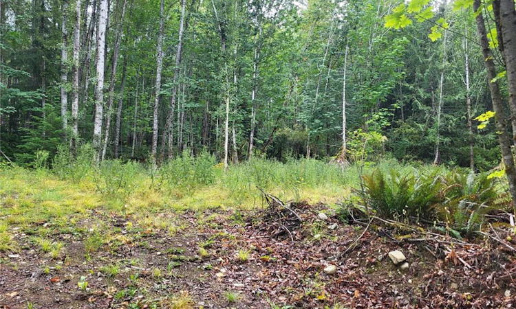 Lot B-7531 Cowichan Lake Road