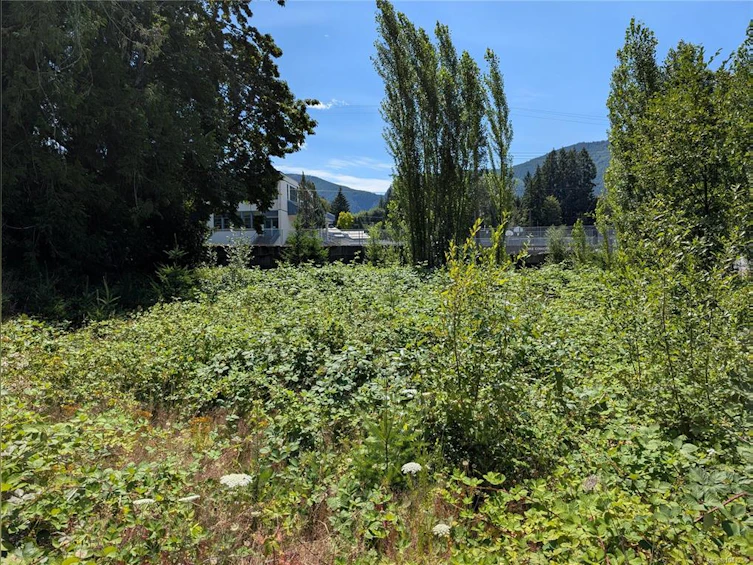 96 Cowichan Avenue, Lake Cowichan, BC, V0R 2G0 - 3
