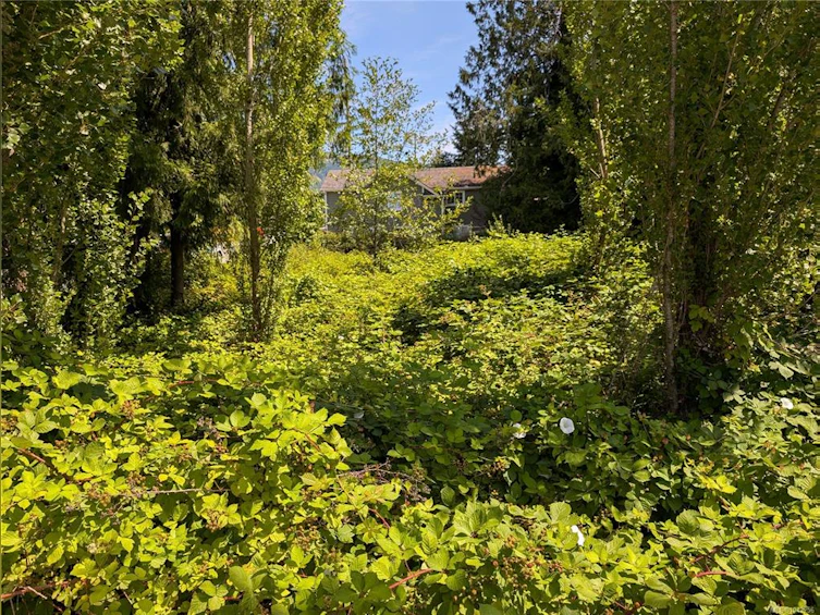 96 Cowichan Avenue, Lake Cowichan, BC, V0R 2G0 - 6