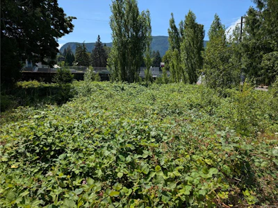 96 Cowichan Avenue - 2