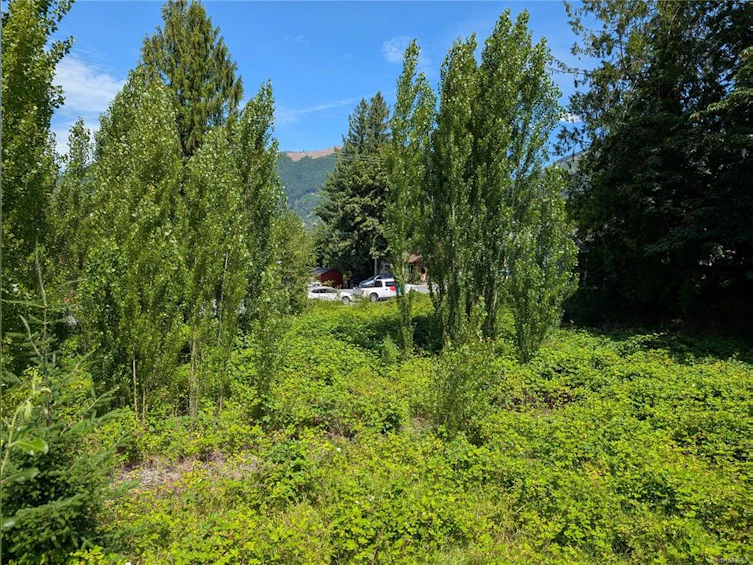 172 South Shore Road, Lake Cowichan, BC, V0R 2G0 - 8