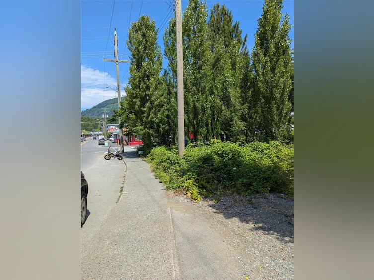 172 South Shore Road, Lake Cowichan, BC, V0R 2G0 - 3